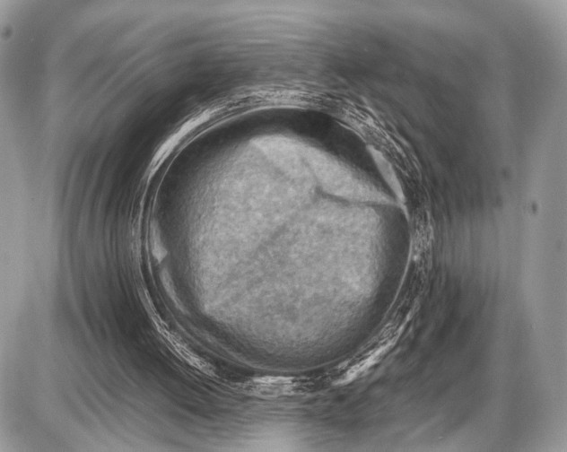 X0000087400052200705111836