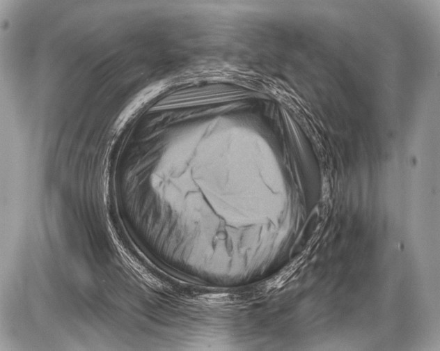 X0000087400054200705111836