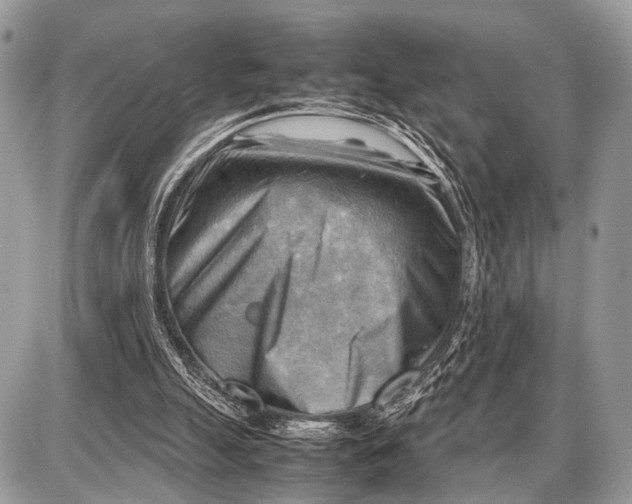 X0000087400055200705111836