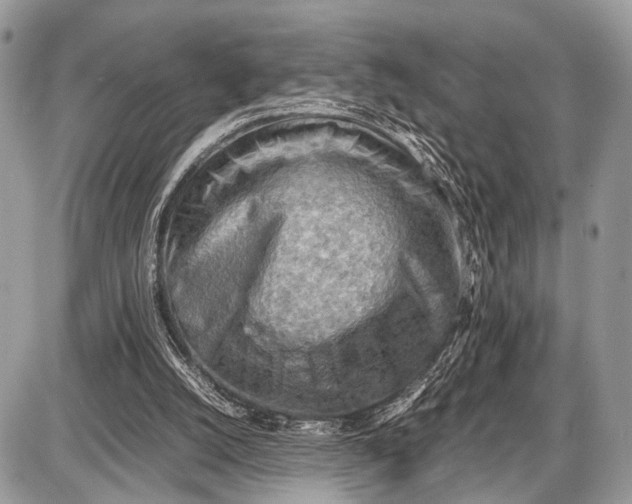 X0000087400056200705111836