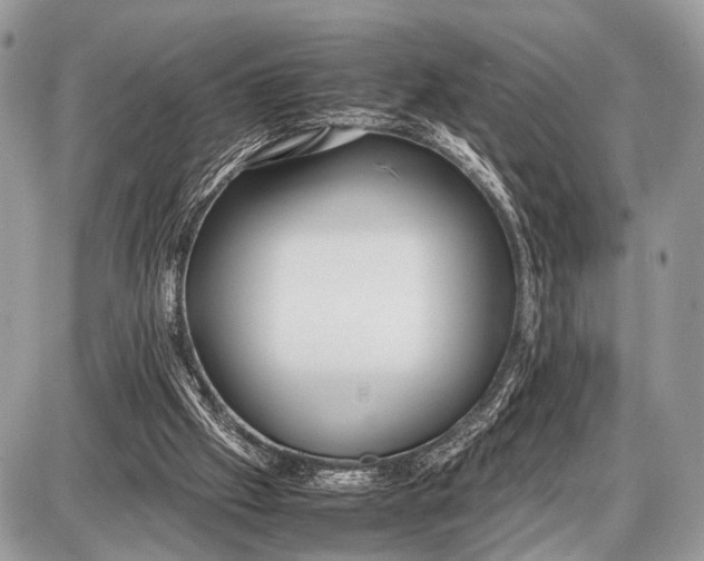 X0000087400057200705111836