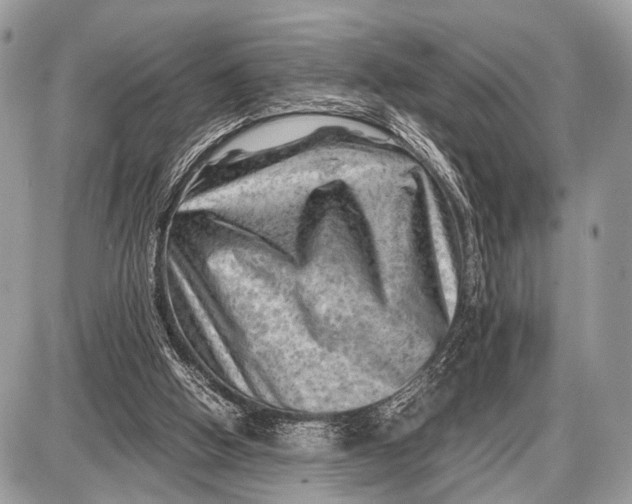 X0000087400058200705111836