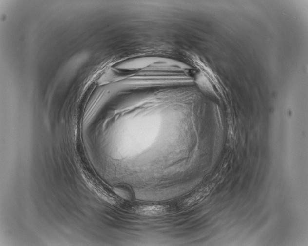 X0000087400059200705111836