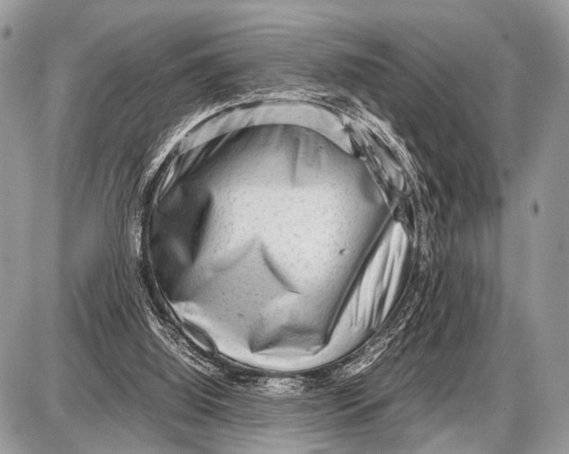 X0000087400060200705111836