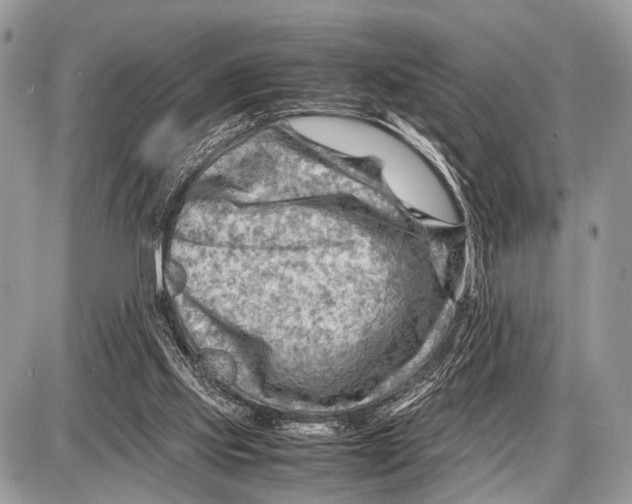 X0000087400061200705111836