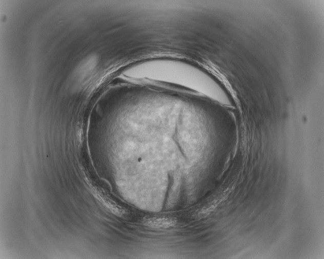 X0000087400063200705111836