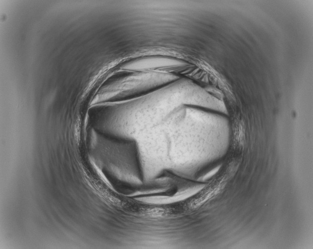 X0000087400064200705111836