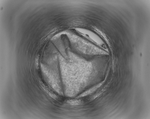 X0000087400065200705111836