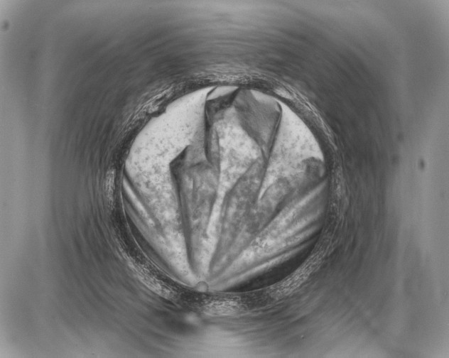 X0000087400066200705111836