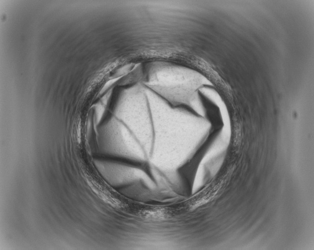 X0000087400068200705111836