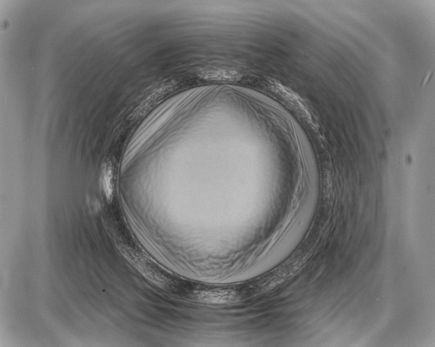 X0000087400069200705111836