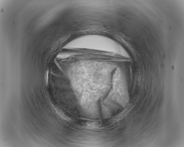 X0000087400070200705111836