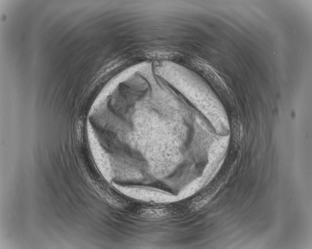 X0000087400071200705111836