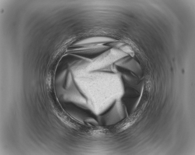 X0000087400072200705111836