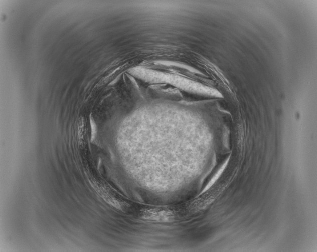 X0000087400073200705111836