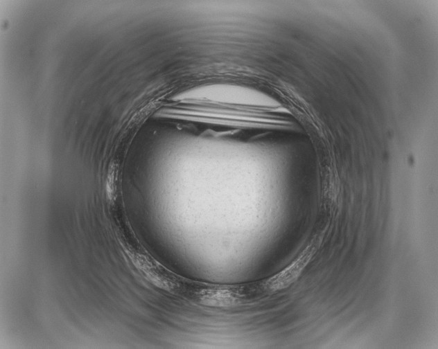 X0000087400074200705111836