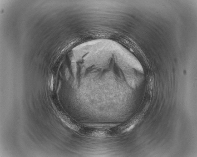 X0000087400076200705111836