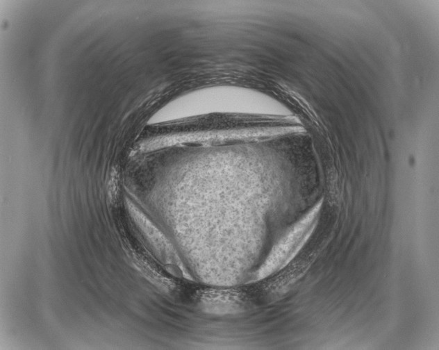 X0000087400077200705111836