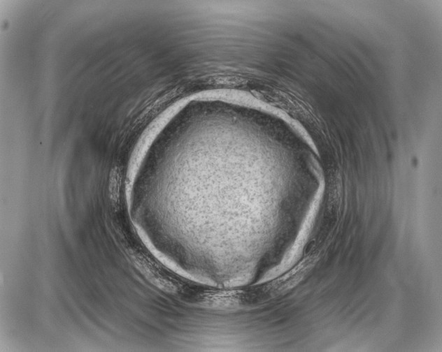 X0000087400078200705111836