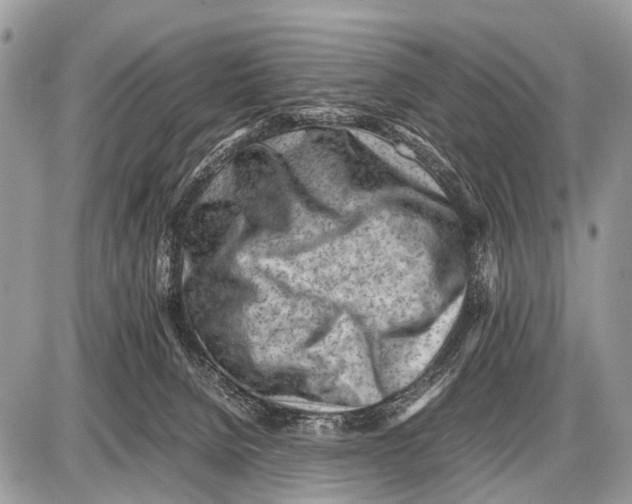 X0000087400080200705111836