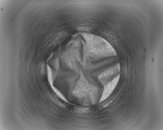 X0000087400081200705111836