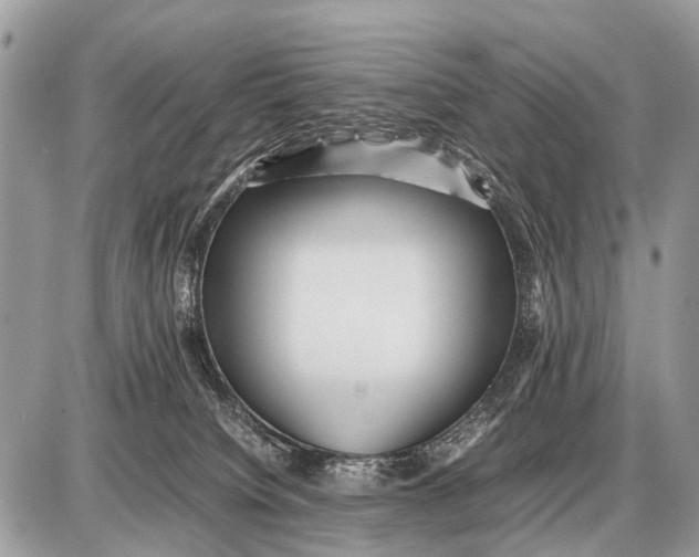 X0000087400084200705111836