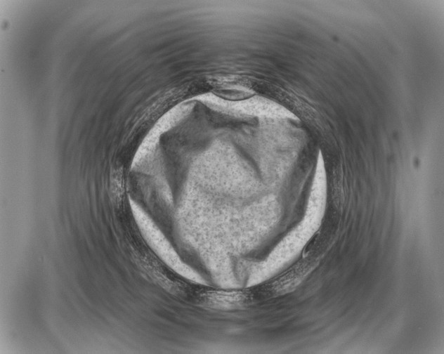 X0000087400085200705111836