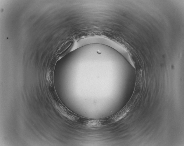 X0000087400088200705111836