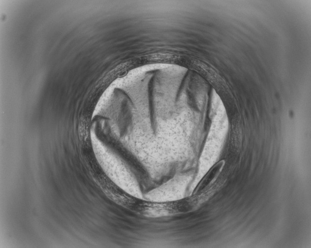 X0000087400091200705111836