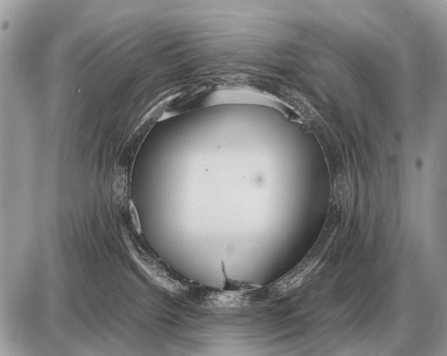 X0000087400092200705111836