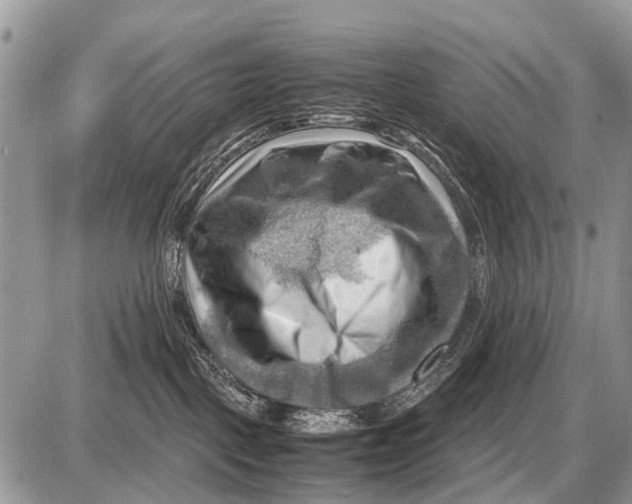 X0000087400093200705111836