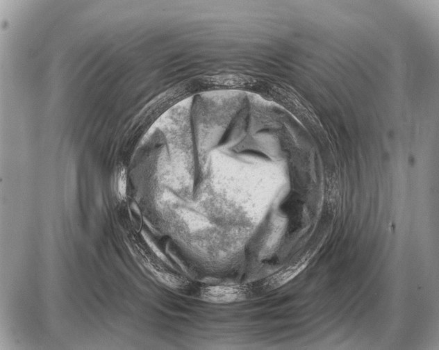 X0000087400095200705111836