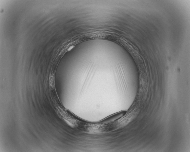 X0000087400096200705111836