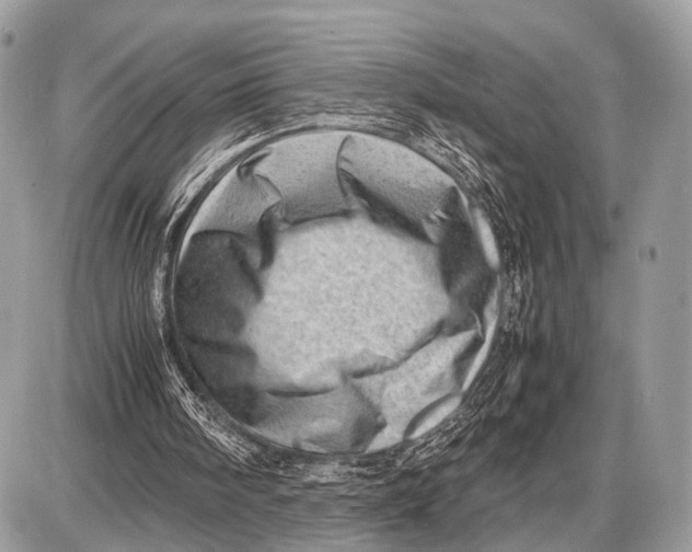 X0000087400098200705111836