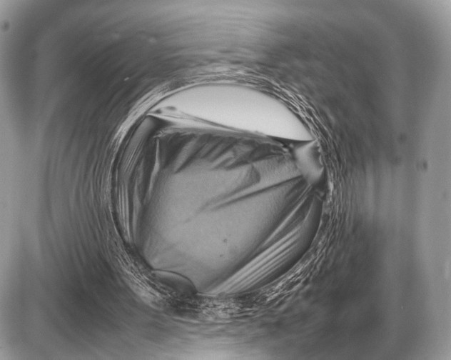 X0000087400099200705111836