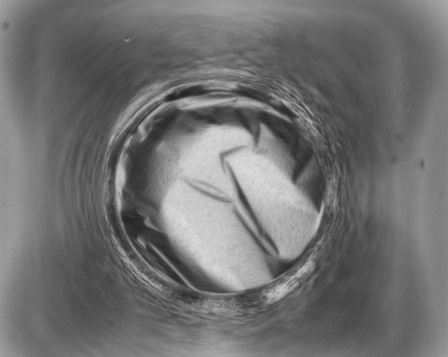 X0000087400101200705111836