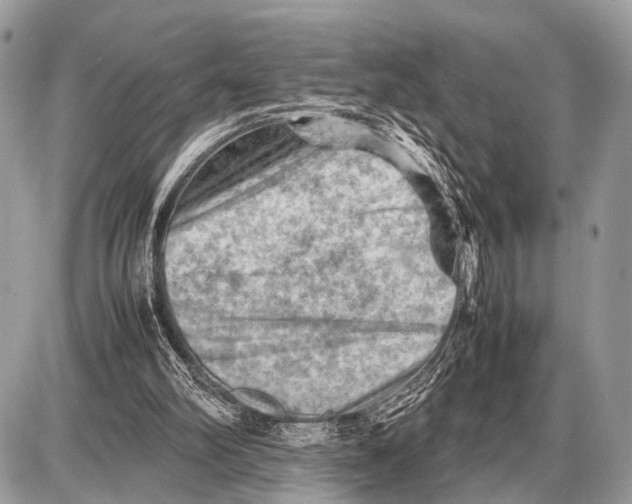 X0000087400102200705111836