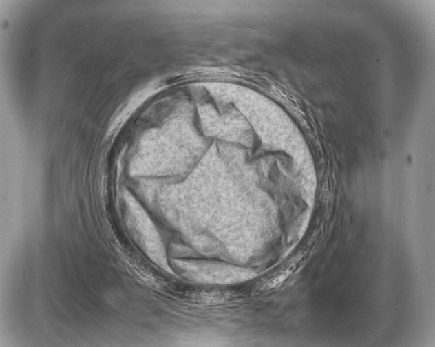 X0000087400103200705111836