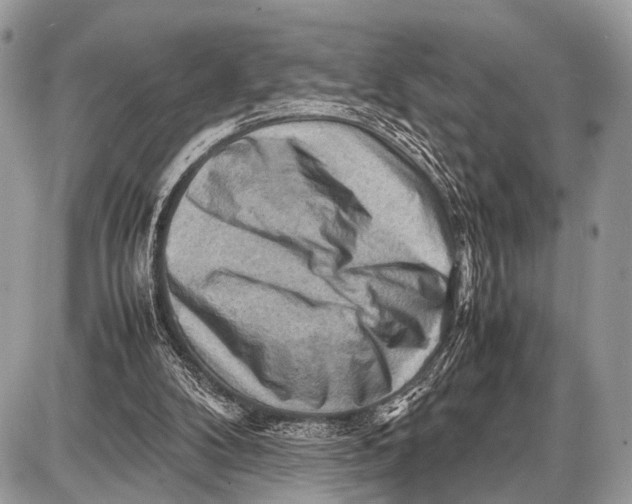 X0000087400104200705111836