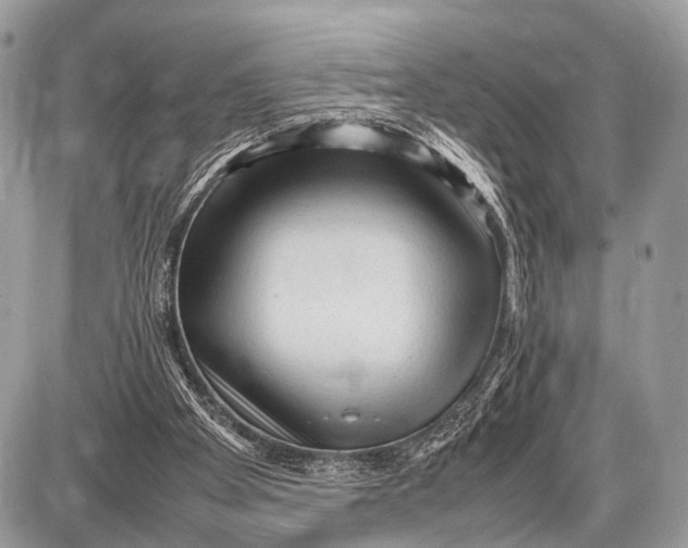 X0000087400105200705111836