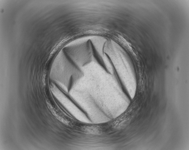 X0000087400106200705111835