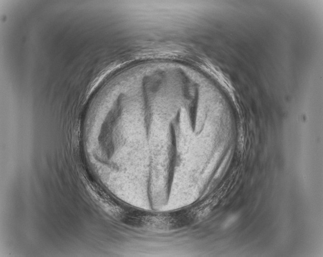 X0000087400107200705111835