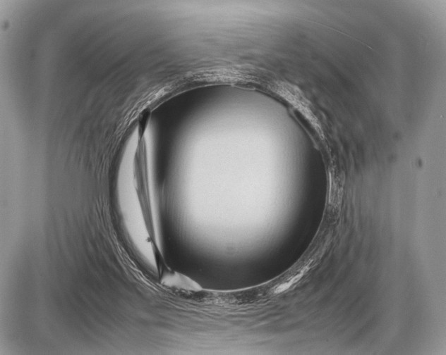 X0000087400109200705111835