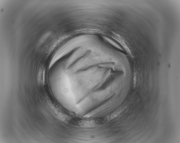 X0000087400110200705111835