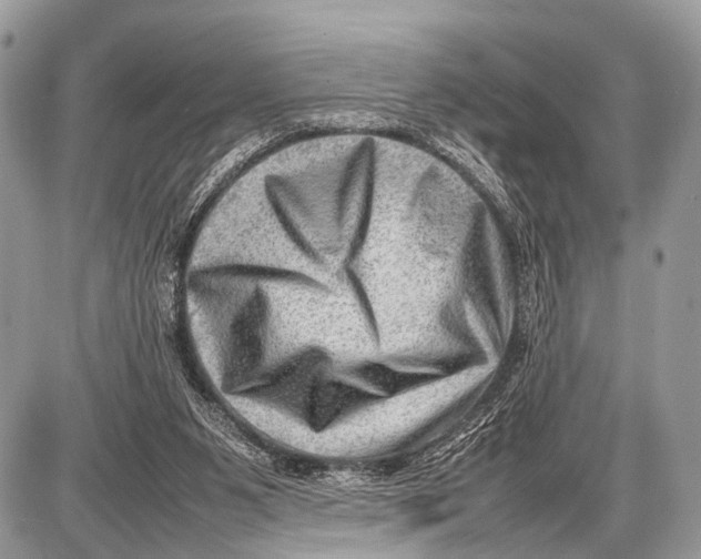 X0000087400111200705111835