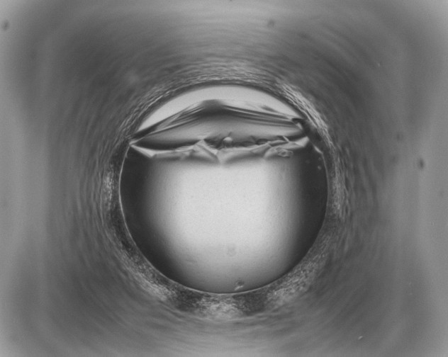 X0000087400113200705111835