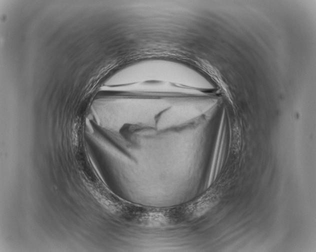 X0000087400114200705111835