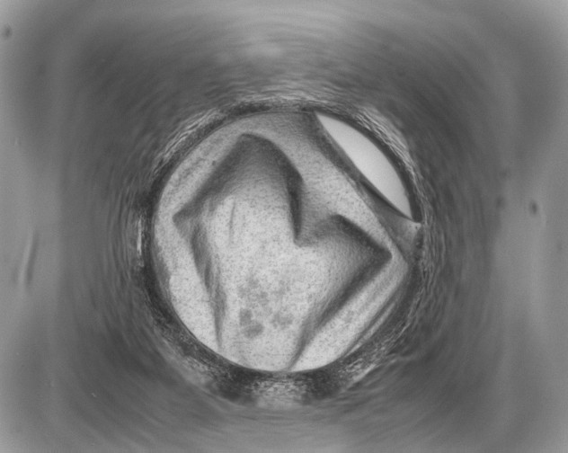 X0000087400115200705111835