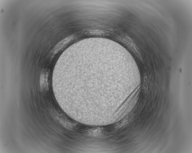 X0000087400116200705111835