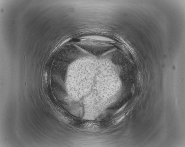 X0000087400117200705111835